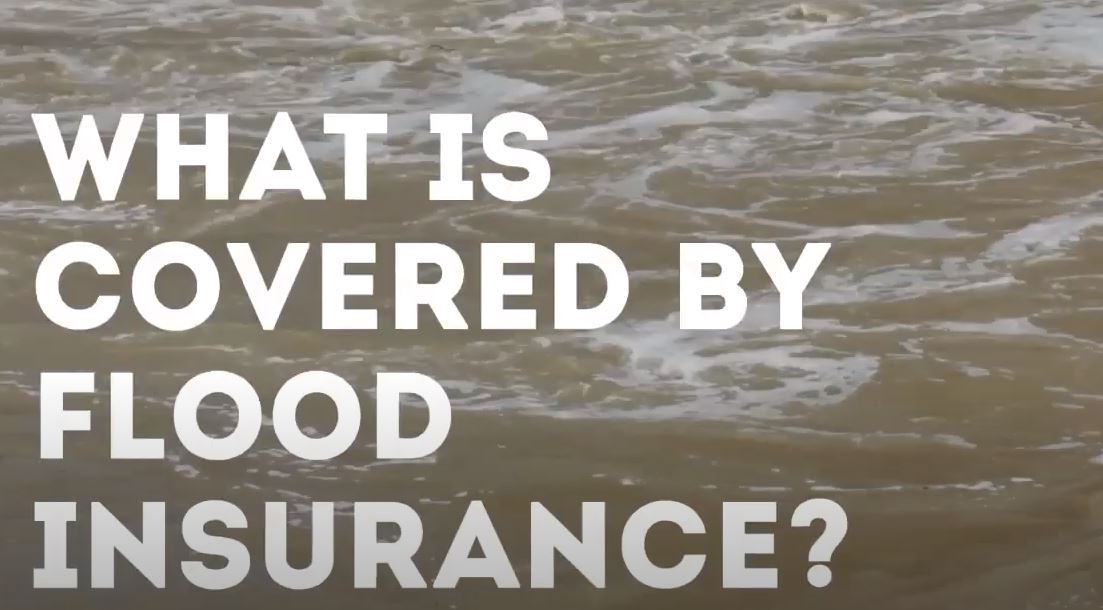yep insurance flood