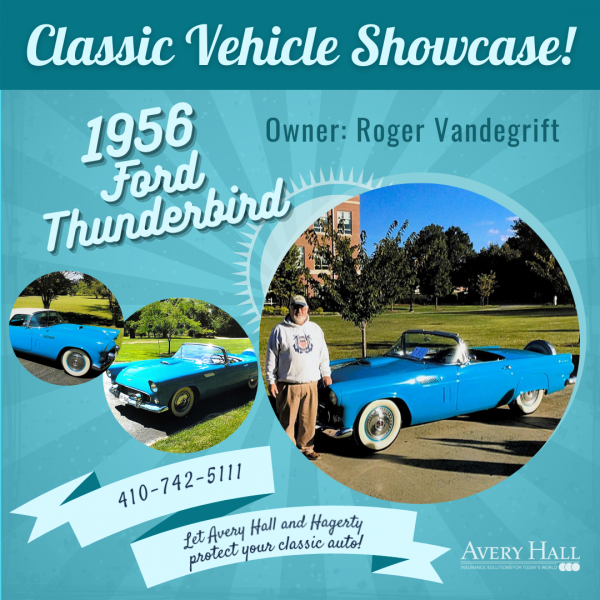 1956 Ford Thunderbird poster image