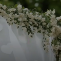 Wedding insurance Wedding insurance - veil and hears image with white flowers