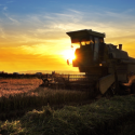 Combine Tractor at Sunset