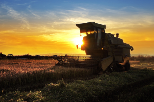 Combine Tractor at Sunset
