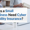 small business cyber cover.blog image.2023