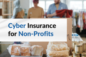 cyber insurance non profits.blog.image.2024